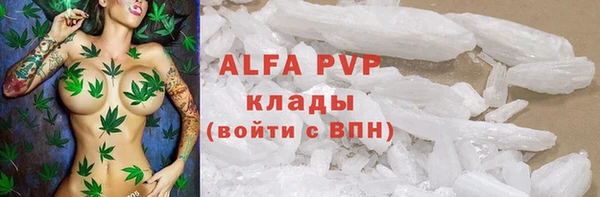 индика Валдай