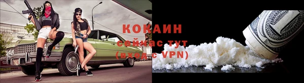 индика Валдай