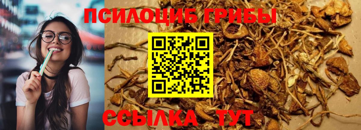 Галлюциногенные грибы MAGIC MUSHROOMS Котлас