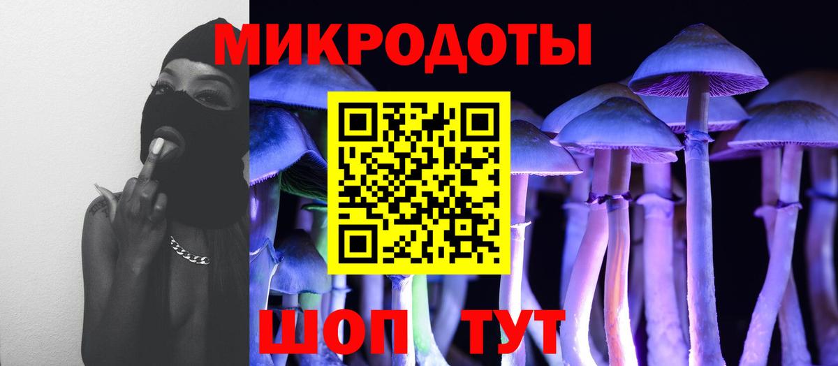 Котлас  Галлюциногенные грибы Psilocybine cubensis  закладки  Псилоцибиновые грибы мухоморы  Вход с VPN 